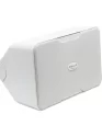 CP-6-white