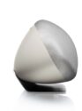 Bowers & Wilkins Zeppelin12