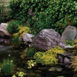 Landscape speakers uae