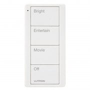 4-button pre-engraved keypad with Bright, Entertain, Movie, and Off scenes