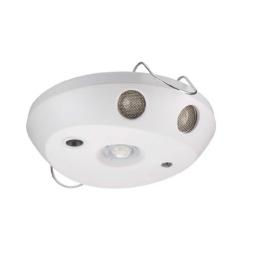 Dynalite DUS804C Motion Sensor