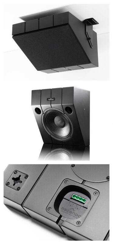 Ascendo The 10 Passive Wedge Speaker - Matte Black