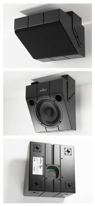 Ascendo The 6 Passive Wedge Speaker - Matte Black