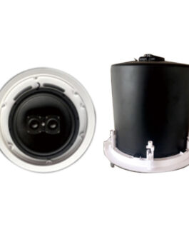 Lucky Tone LT-10.2 10" Ceiling Subwoofer