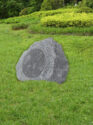 Nature-6-4-E6B5B7E68AA5-1024x1024-1.jpg